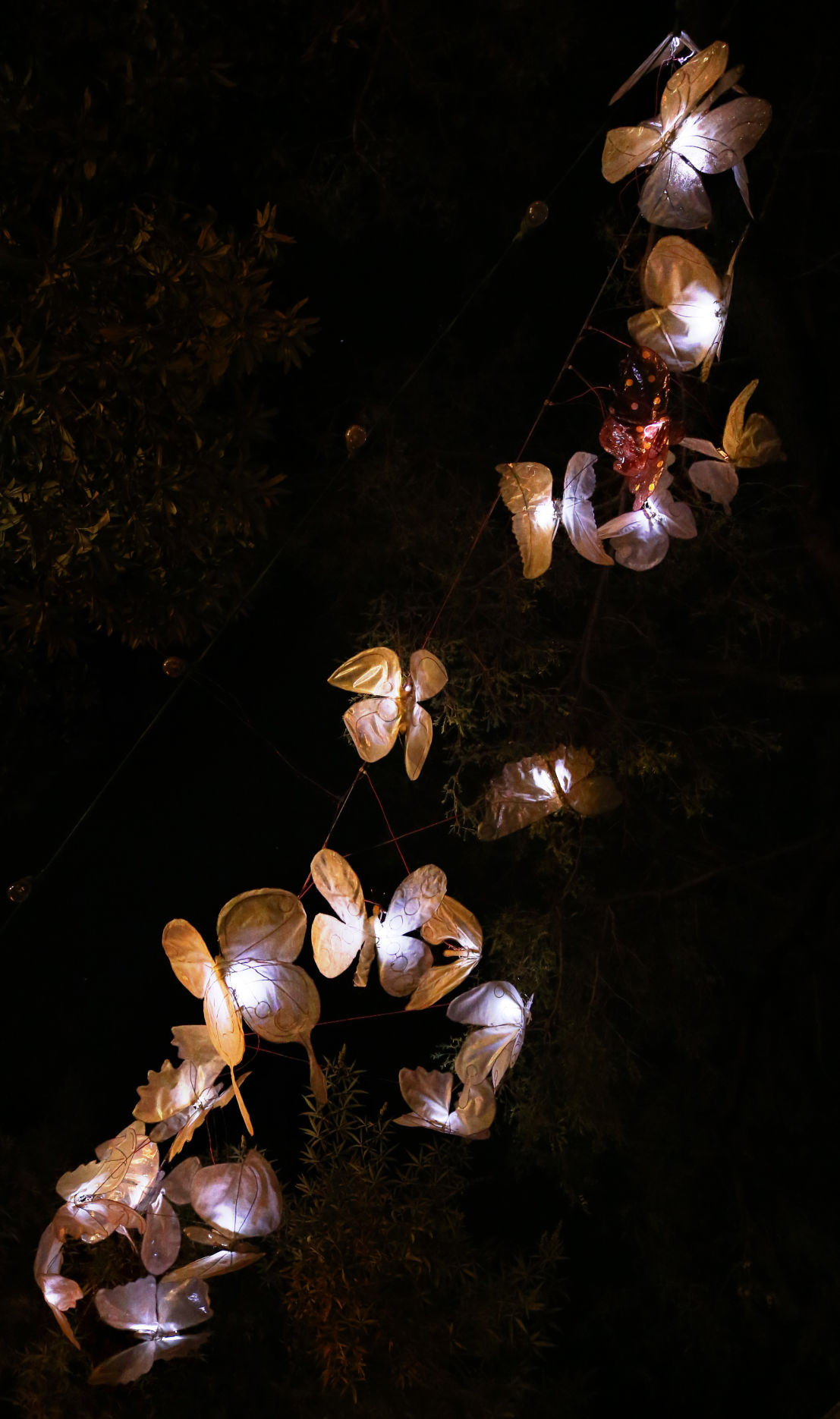 Luminous